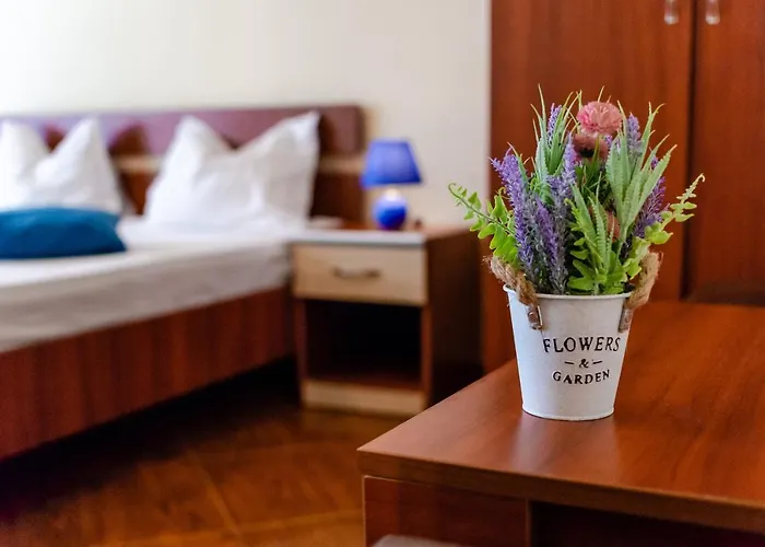 בית הארחה Margo